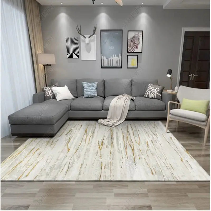 Modern Simplicity Carpets Living Room Sofas Coffee Tables Rugs Nordic Light Luxury Decoration Bedroom Carpet Study Cloakroom Rug