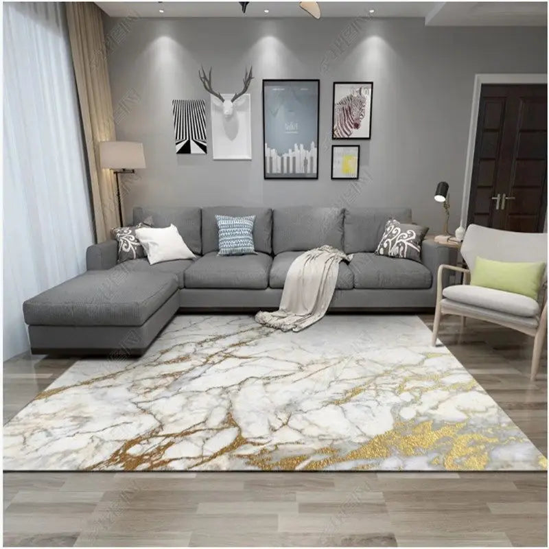Modern Simplicity Carpets Living Room Sofas Coffee Tables Rugs Nordic Light Luxury Decoration Bedroom Carpet Study Cloakroom Rug